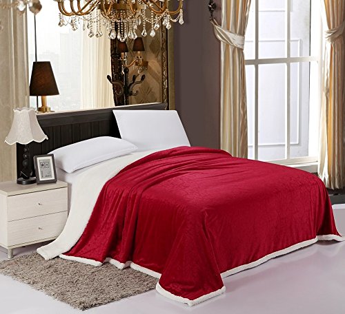 Simple Elegance Luxurious Reversible Sherpa Lining Carved Velboa Blanket - Queen (Scarlet Red)