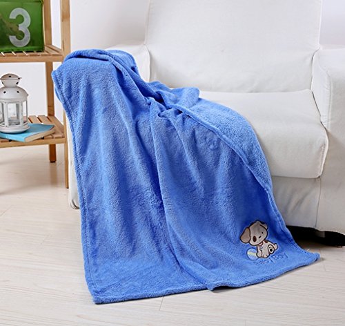 Ultra Soft Embroidered Baby Blanket (30 inch x 40 inch ) - Blue