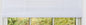 Sweet Roll Collection Set of 4 White Vinyl Roll-Up Blinds (72 inch  x 72 inch )