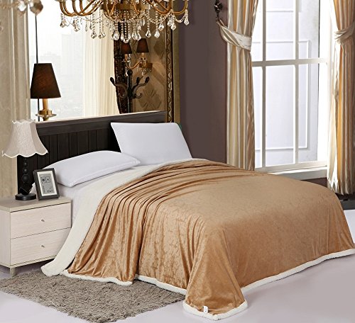 PlushComfort Luxurious Reversible Sherpa Lining Carved Velboa Comforter - Queen (Mocha)