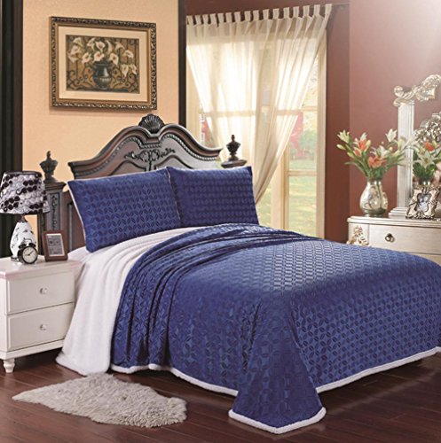 Cozy Living Ultra Soft Reversible Queen Blanket with Sherpa Lining - Blue