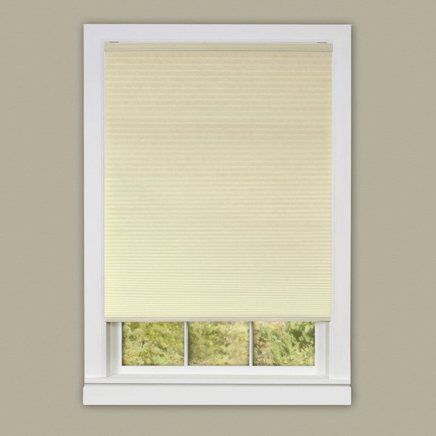 Traditional Elegance Cordless Honeycomb Cellular Pleated Shade 31x64 - Alabaster
